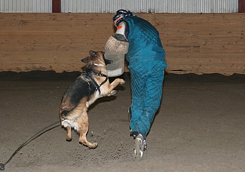 Training in Estonia 3/2007